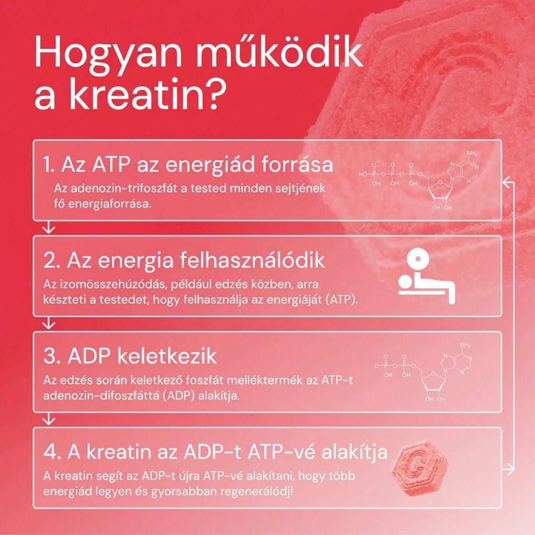 Feroxmen - Kreatin - monohidrát gumicukor - Natural Testosterone Support